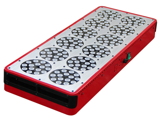 Medical Plants Full Spectrum Led Grow Light 900w For Seeding Cultivation Hydroponic Growing
